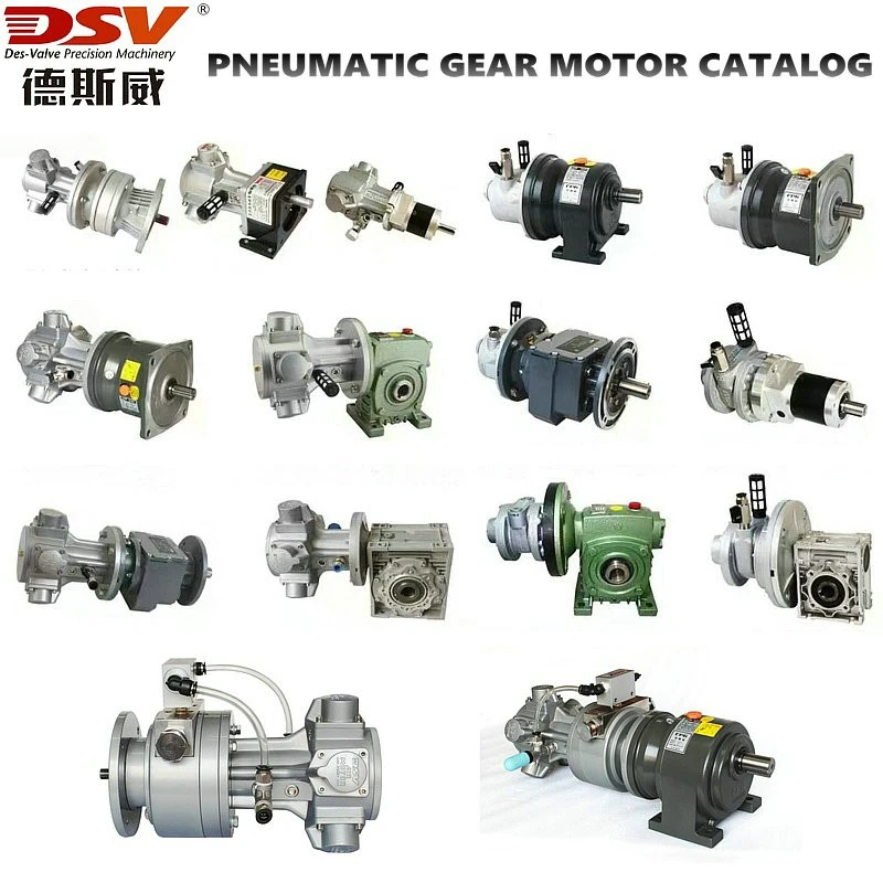 pneumatic gear motor